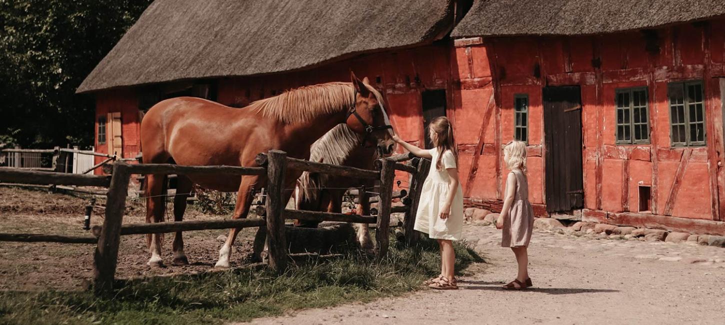 To piger i den Fynske Landsby klapper hestene