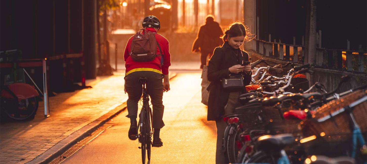 cyklist i modlys efterår